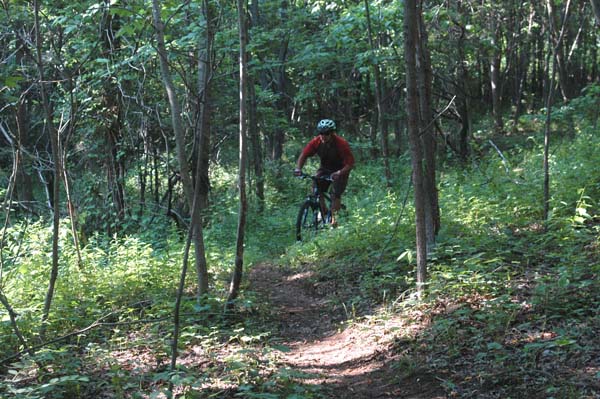 Bear creek best sale mountain bike trail